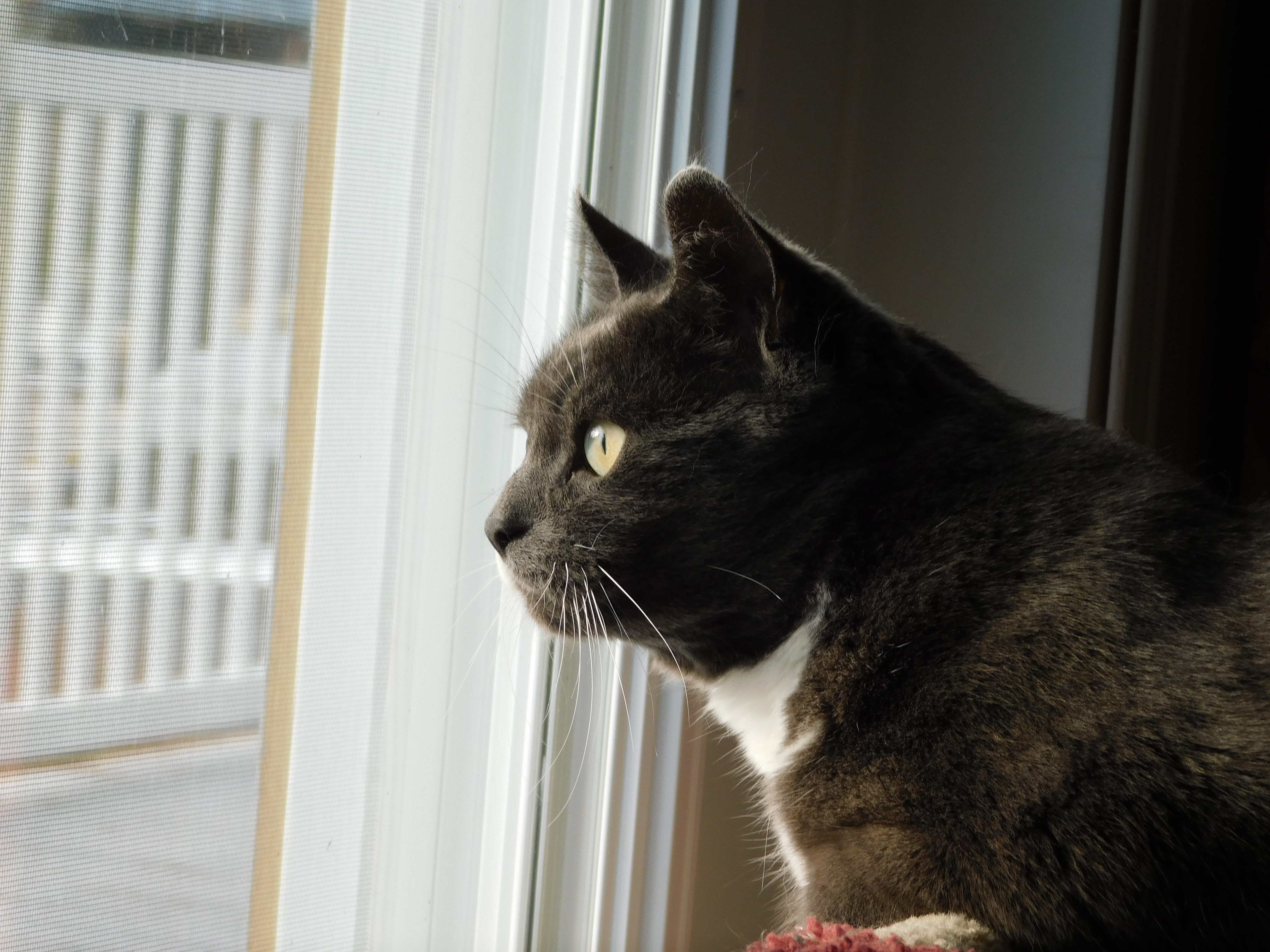 une liberté d&rsquo;exister